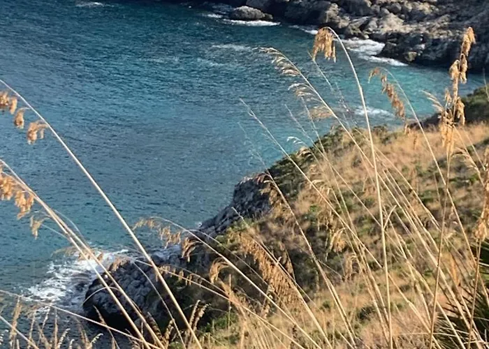 Fiore In Borgo Diano San Pietro